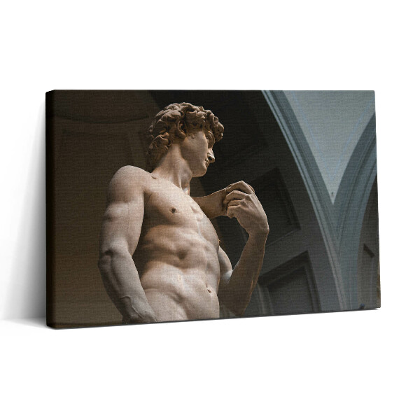 Tablou canvas 30x20 Sculptura lui David - Michelangelo