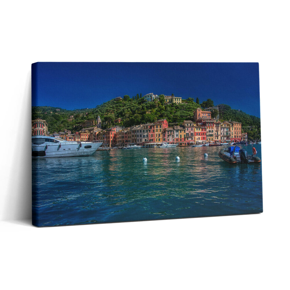 Tablou canvas 30x20 Bărci care navighează în Portofino
