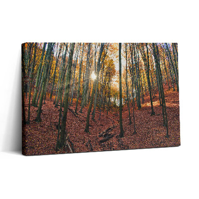 Tablou canvas 30x20 Apus de soare și copaci