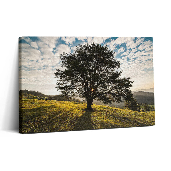 Tablou canvas 30x20 Un copac cu frunze pe un deal