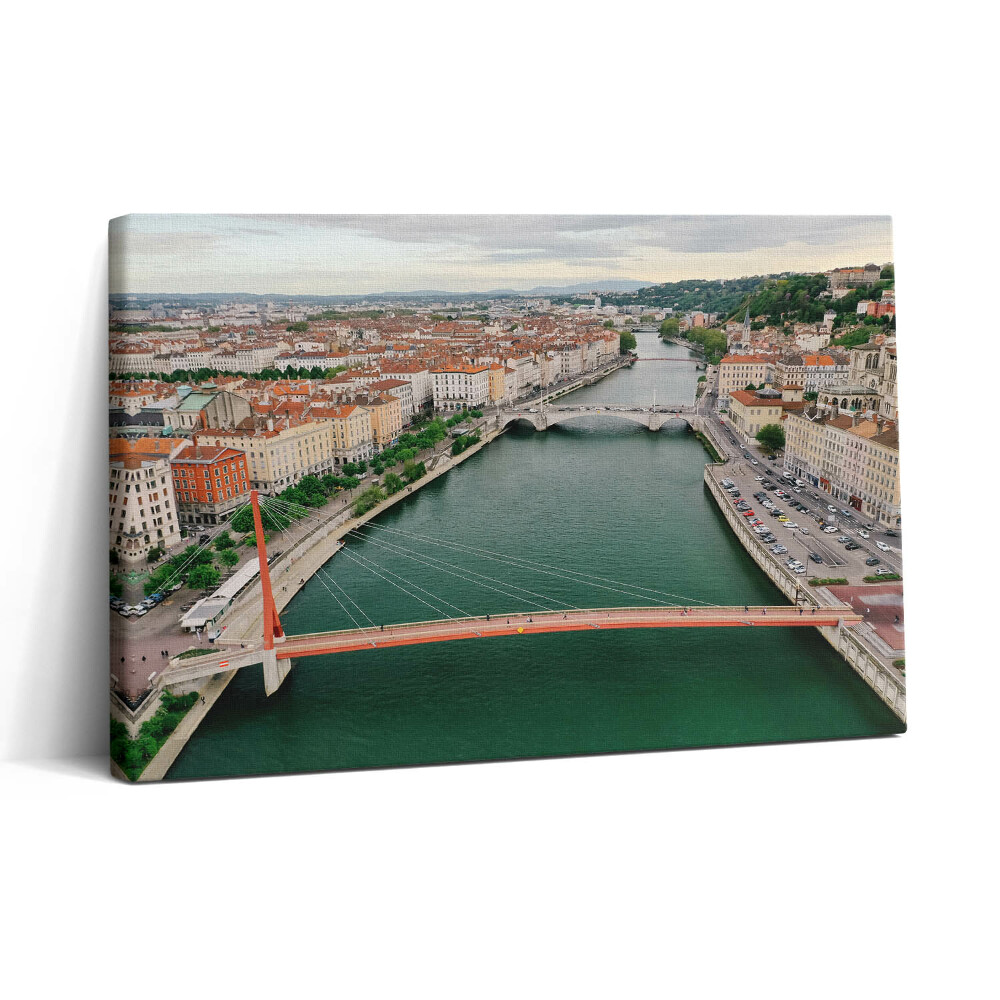 Tablou canvas 30x20 Podul Bonaparte