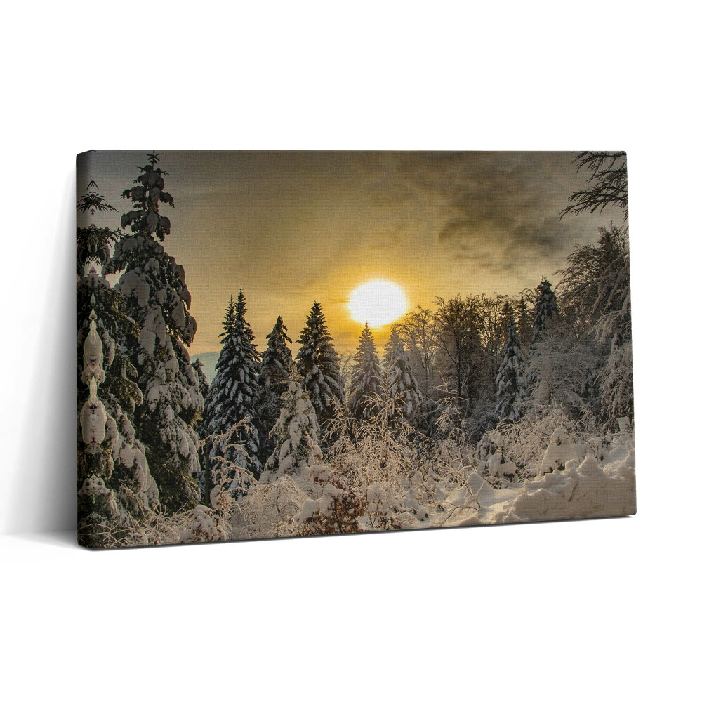Tablou canvas 30x20 Peisaj de iarnă al Munților Beskid