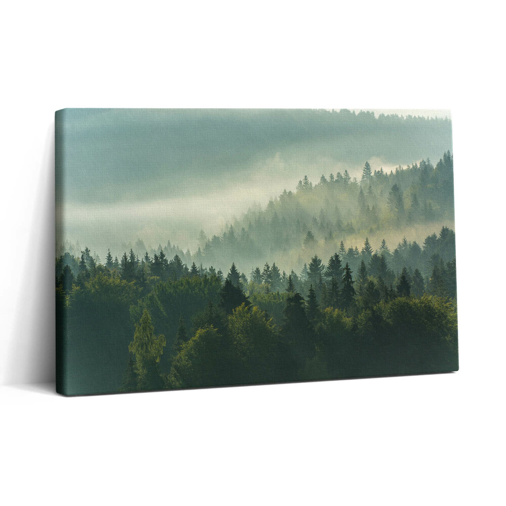 Tablou canvas 30x20 Munții Beskid la răsărit