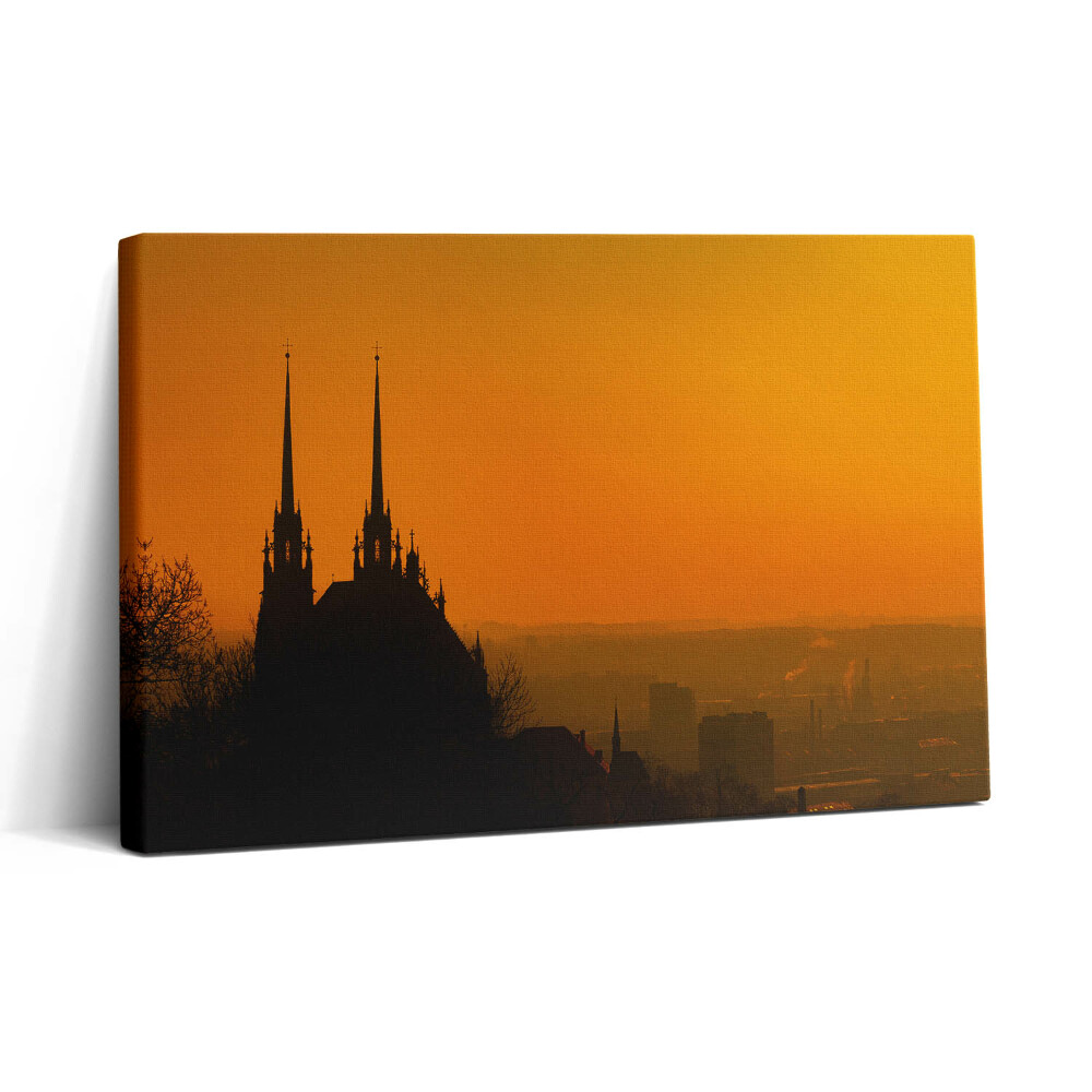Tablou canvas 30x20 Vedere a Catedralei din Brno