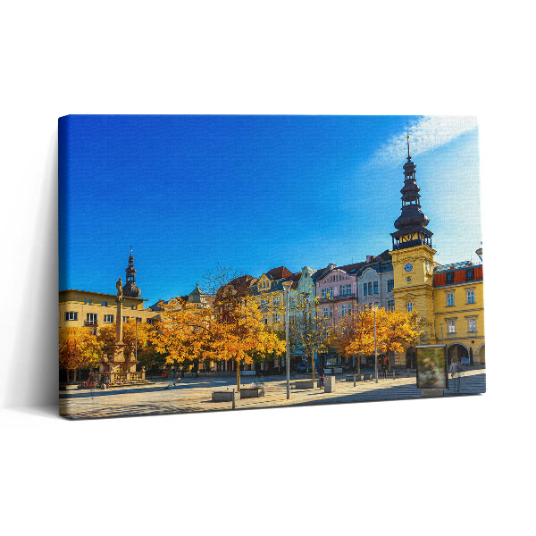 Tablou canvas 30x20 Piața Masaryk și Primăria Veche