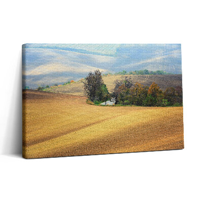 Tablou canvas 30x20 Peisaj rural moravian