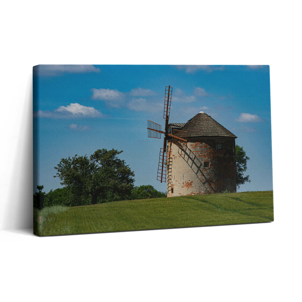 Tablou canvas 30x20 Moară de vânt în Moravia