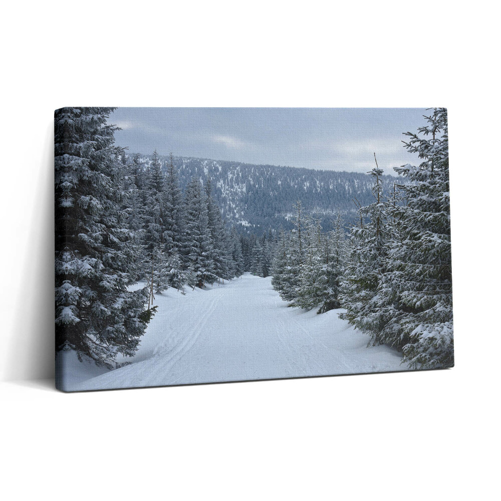 Tablou canvas 30x20 Munții Giganți Cehi în timpul iernii