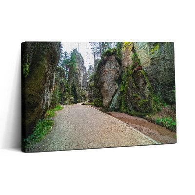 Tablou canvas 30x20 Orașul rock din Republica Cehă