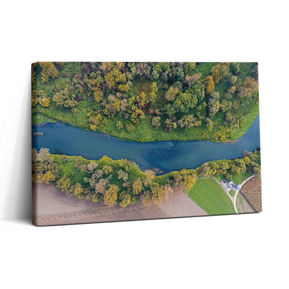 Tablou canvas 30x20 Rujeola în Republica Cehă