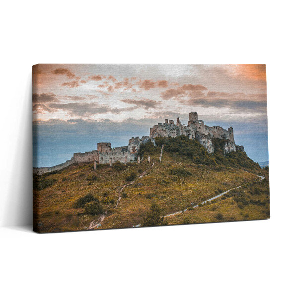 Tablou canvas 30x20 Castelul Spiš din Slovacia