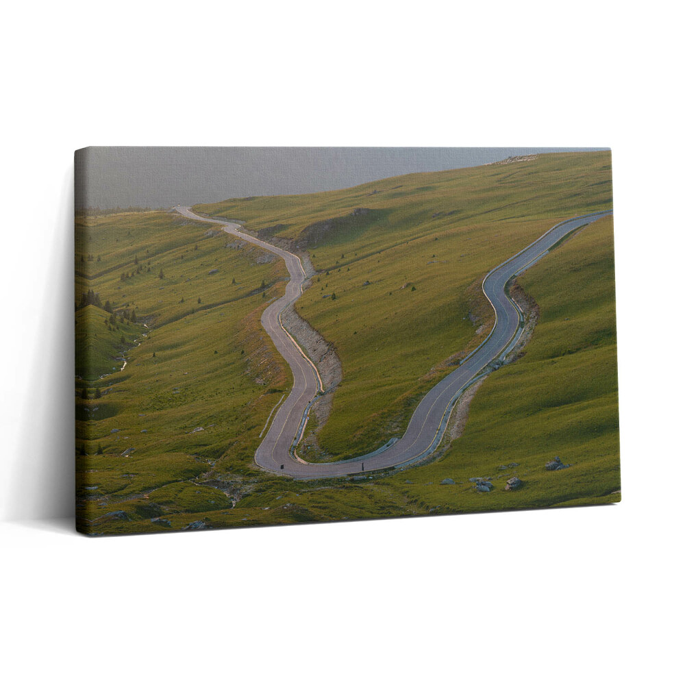 Tablou canvas 30x20 Ruta Transalpina 67c