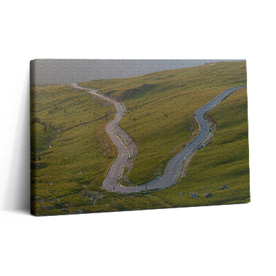 Tablou canvas 30x20 Ruta Transalpina 67c