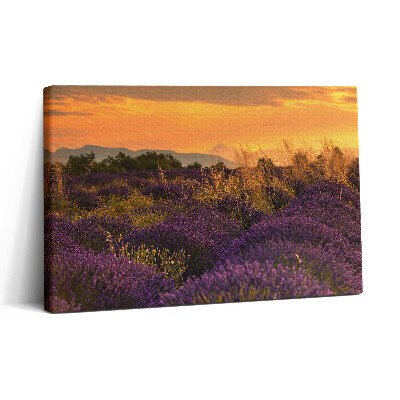Tablou canvas 30x20 Pajiște de lavandă Provence Franța