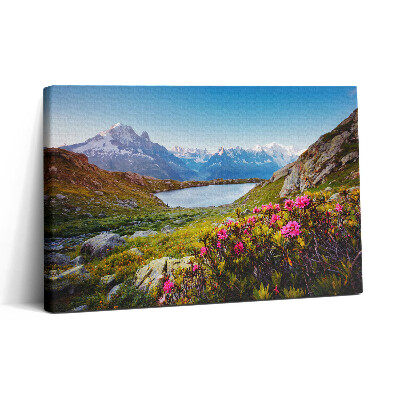 Tablou canvas 30x20 Ghețarul Mont Blanc Chamonix