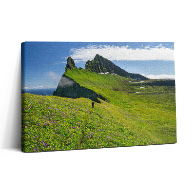 Tablou canvas 30x20 Rezervația Hornstrandir din Islanda