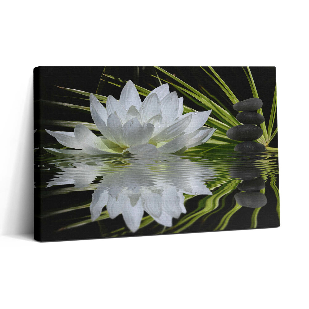 Tablou canvas 30x20 Nufăr și frunze