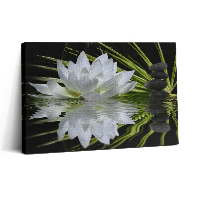 Tablou canvas 30x20 Nufăr și frunze