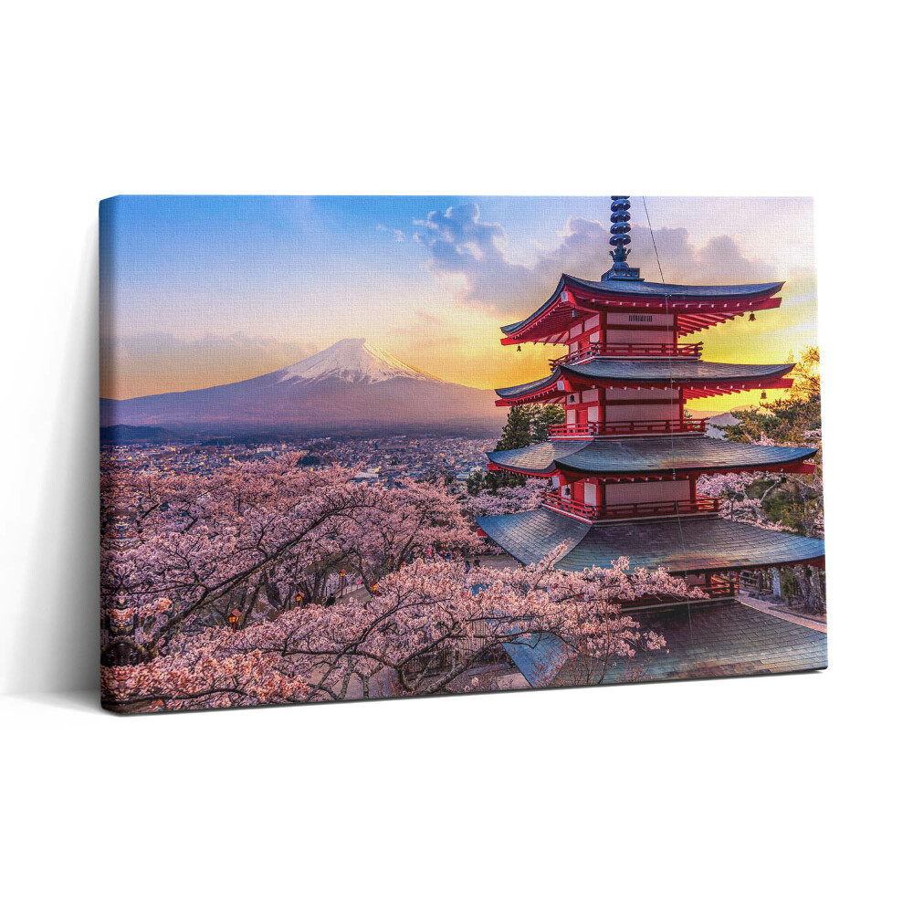 Tablou canvas 30x20 Construcție japoneză