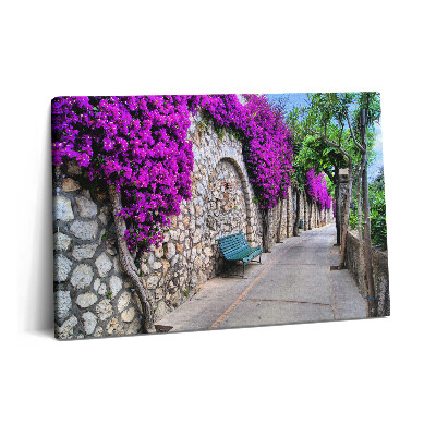 Tablou pe pânză 60x40 Drumul Florilor din Capri, Italia