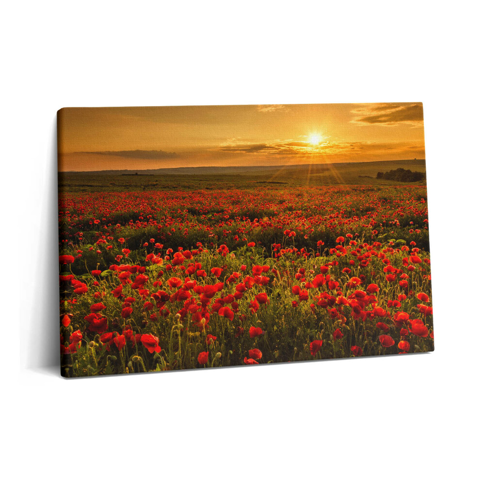 Tablou pe pânză 60x40 Peisaj al unei poiană cu maci