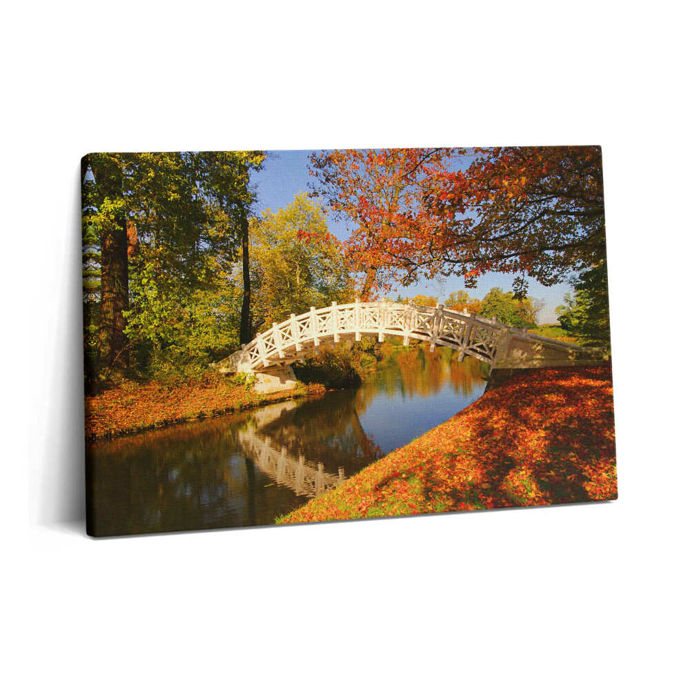 Tablou pe pânză 60x40 Parcul Woerlitzer în toamna aurie