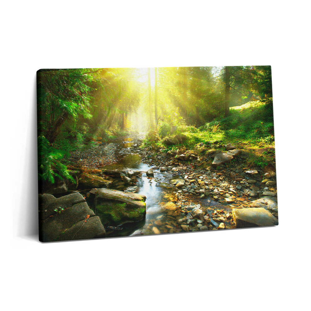 Tablou pe pânză 60x40 Pârâu de pădure la soare