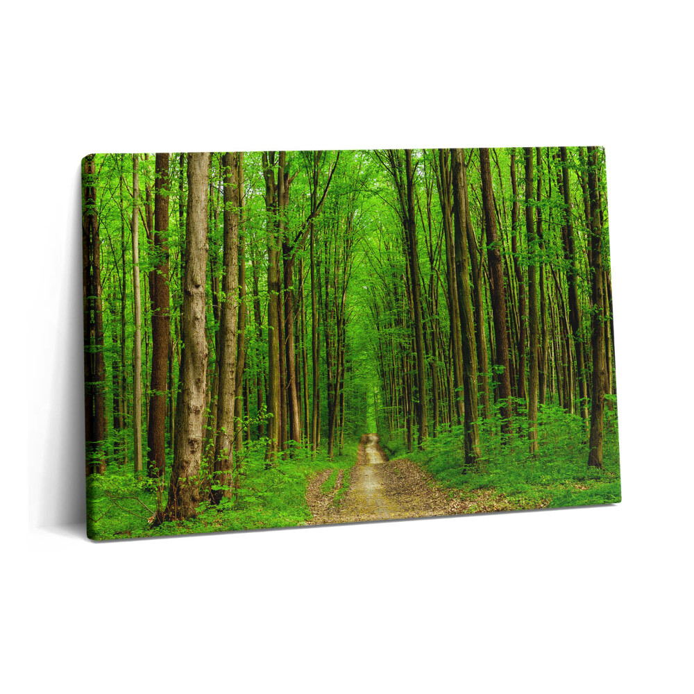 Tablou pe pânză 60x40 Drum forestier printre copaci