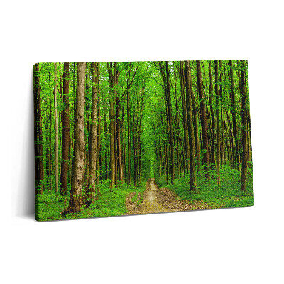 Tablou pe pânză 60x40 Drum forestier printre copaci