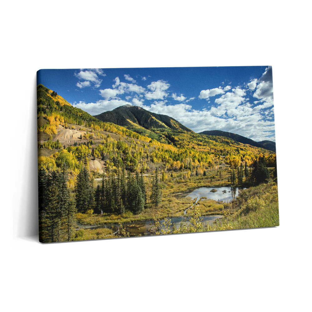 Tablou pe pânză 60x40 Peisaj cu vegetație montană