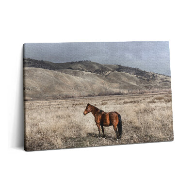 Tablou pe pânză 60x40 Armăsar în iarbă