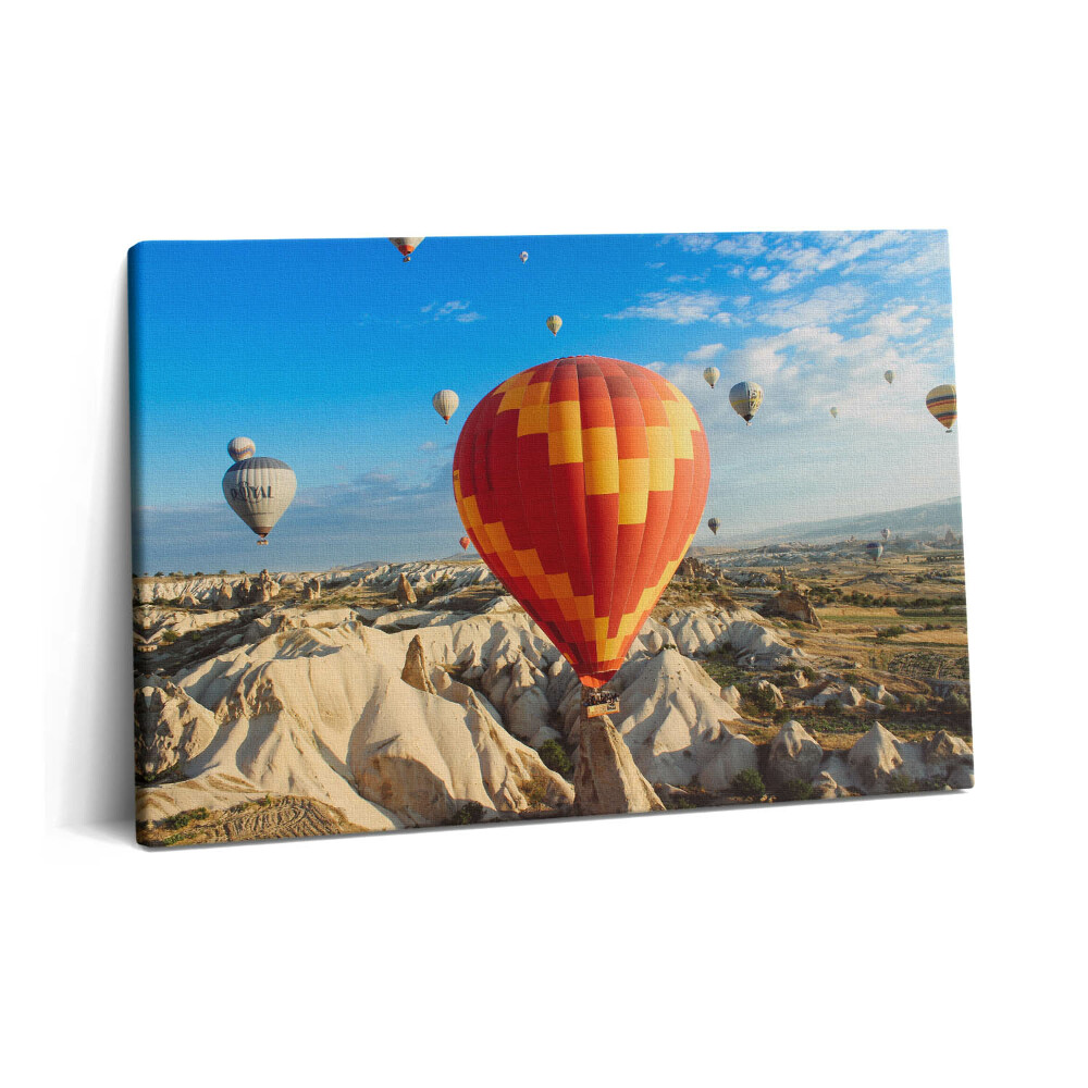 Tablou pe pânză 60x40 Baloane zburătoare