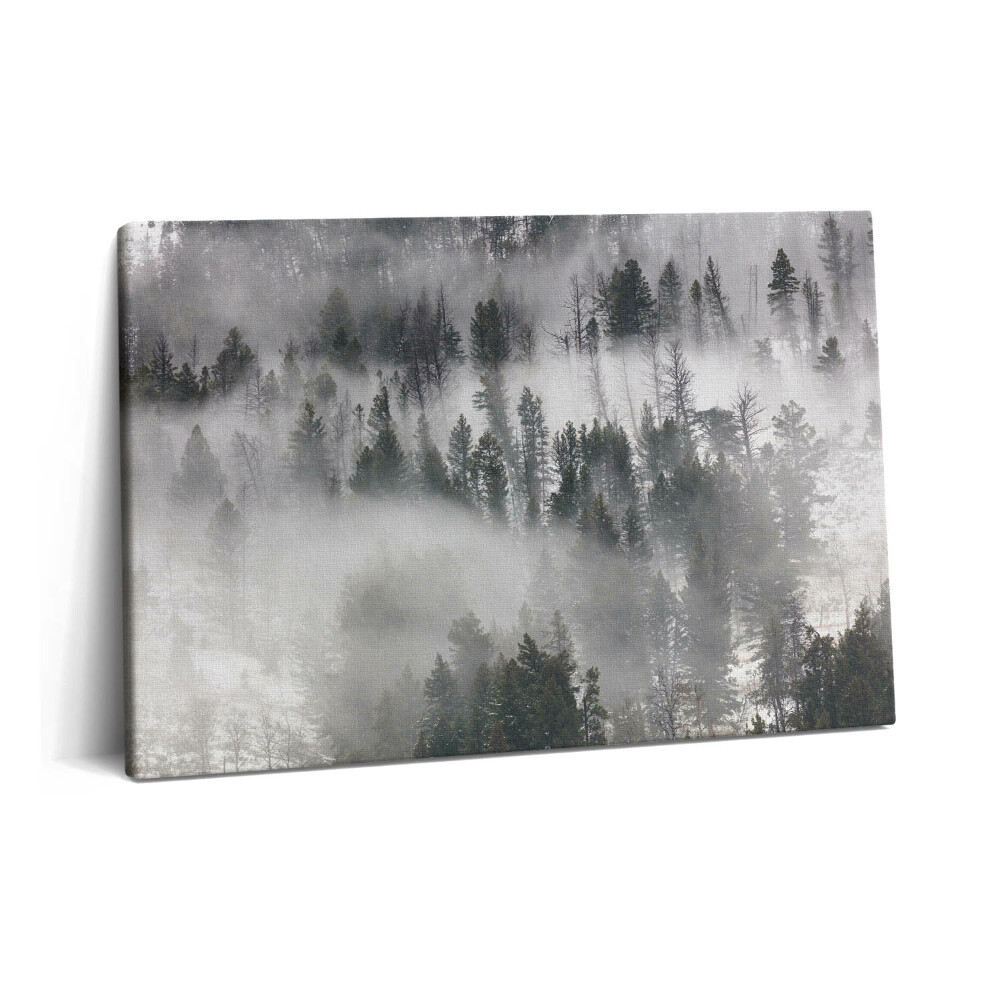 Tablou pe pânză 60x40 Peisaj de pădure încețoșată