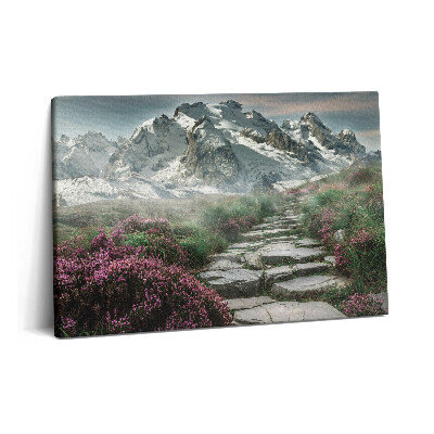 Tablou pe pânză 60x40 Un drum de piatră în munți