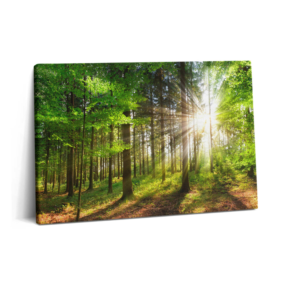 Tablou pe pânză 60x40 Pădure și răsărit de soare