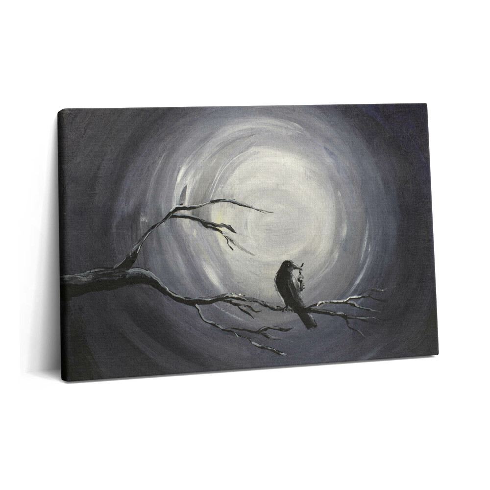 Tablou pe pânză 60x40 Corb în lumina lunii