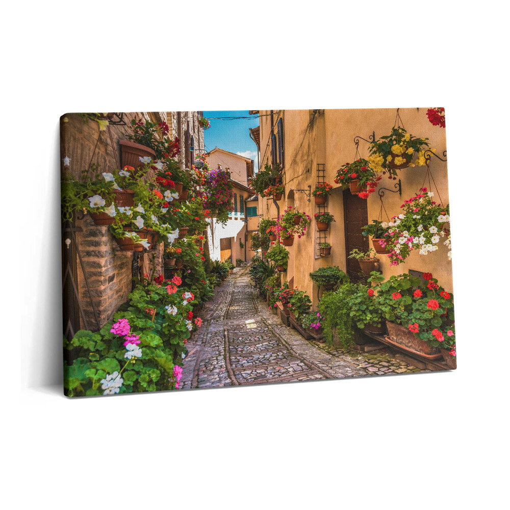 Tablou pe pânză 60x40 Strada Florilor din Umbria
