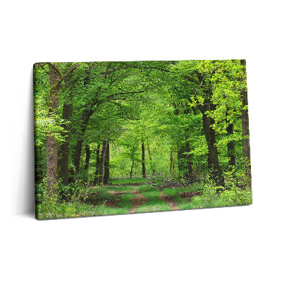 Tablou pe pânză 60x40 Drum forestier sub copaci