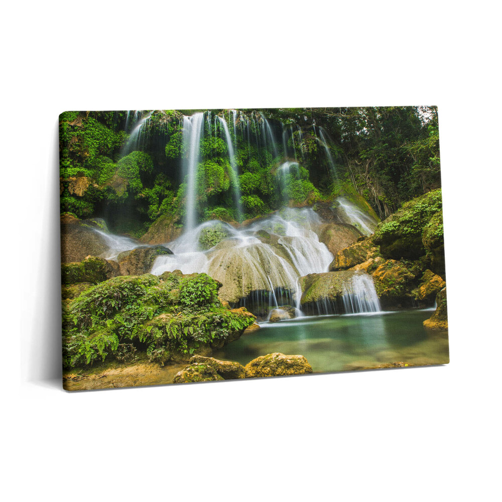 Tablou pe pânză 60x40 Cascadă naturală sălbatică