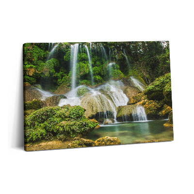 Tablou pe pânză 60x40 Cascadă naturală sălbatică