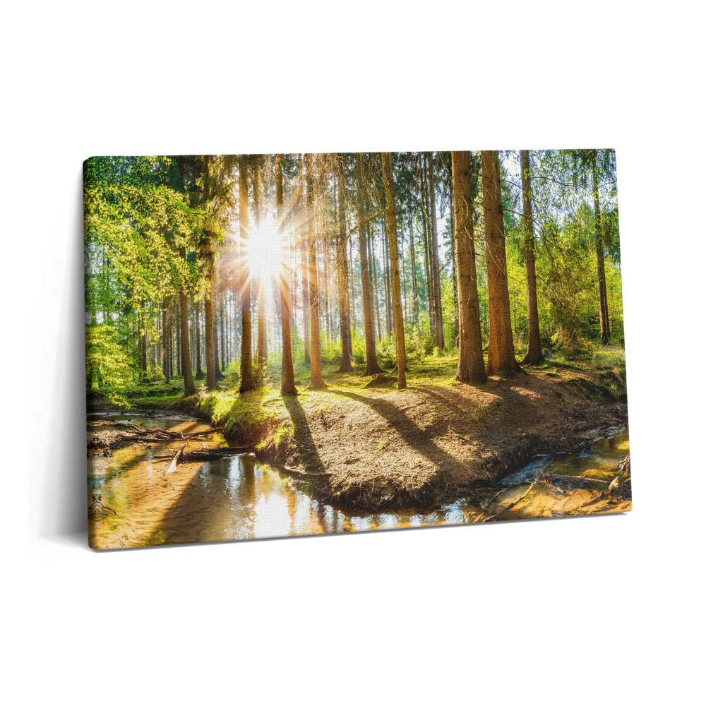 Tablou pe pânză 60x40 Soarele din spatele copacilor din pădure