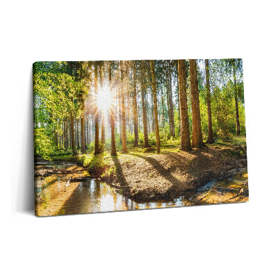 Tablou pe pânză 60x40 Soarele din spatele copacilor din pădure