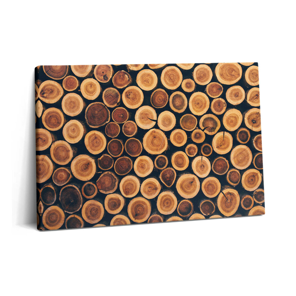 Tablou pe pânză 60x40 Trunchiuri de copaci din lemn