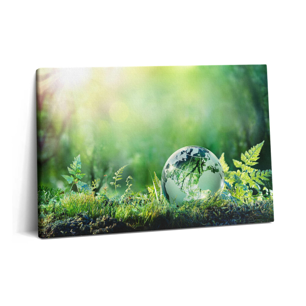 Tablou pe pânză 60x40 Glob pe iarbă