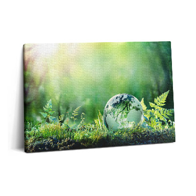 Tablou pe pânză 60x40 Glob pe iarbă