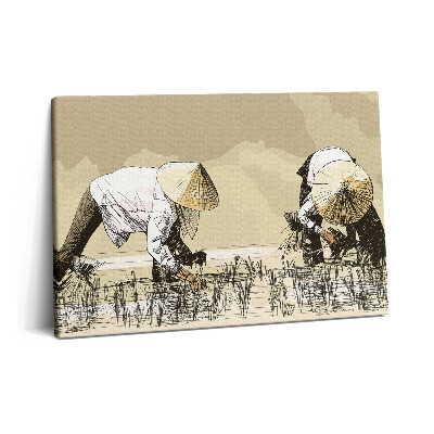 Tablou pe pânză 60x40 Două femei recoltează orez în Asia