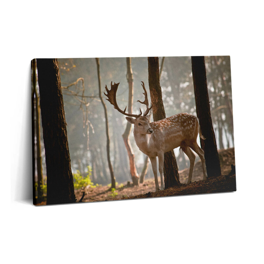 Tablou pe pânză 60x40 Cerbi în strălucirea soarelui care răsare