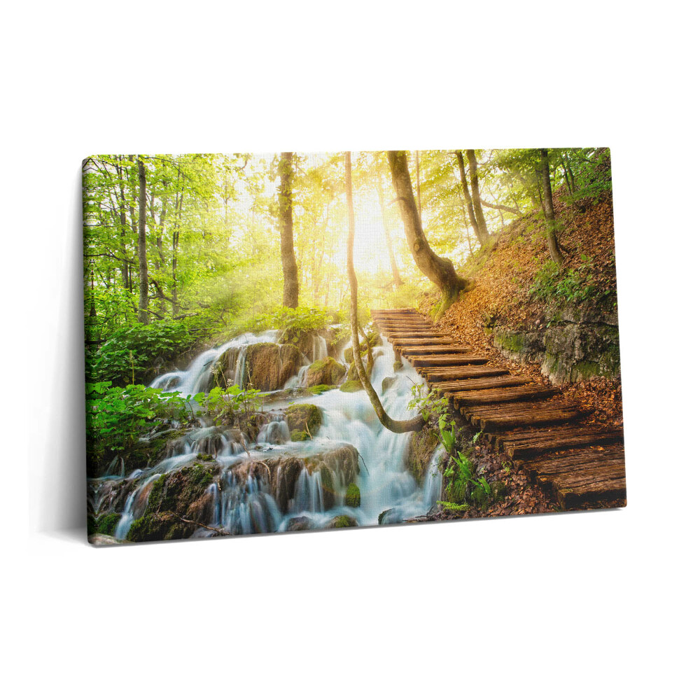 Tablou pe pânză 60x40 Pârâu și scări în pădure