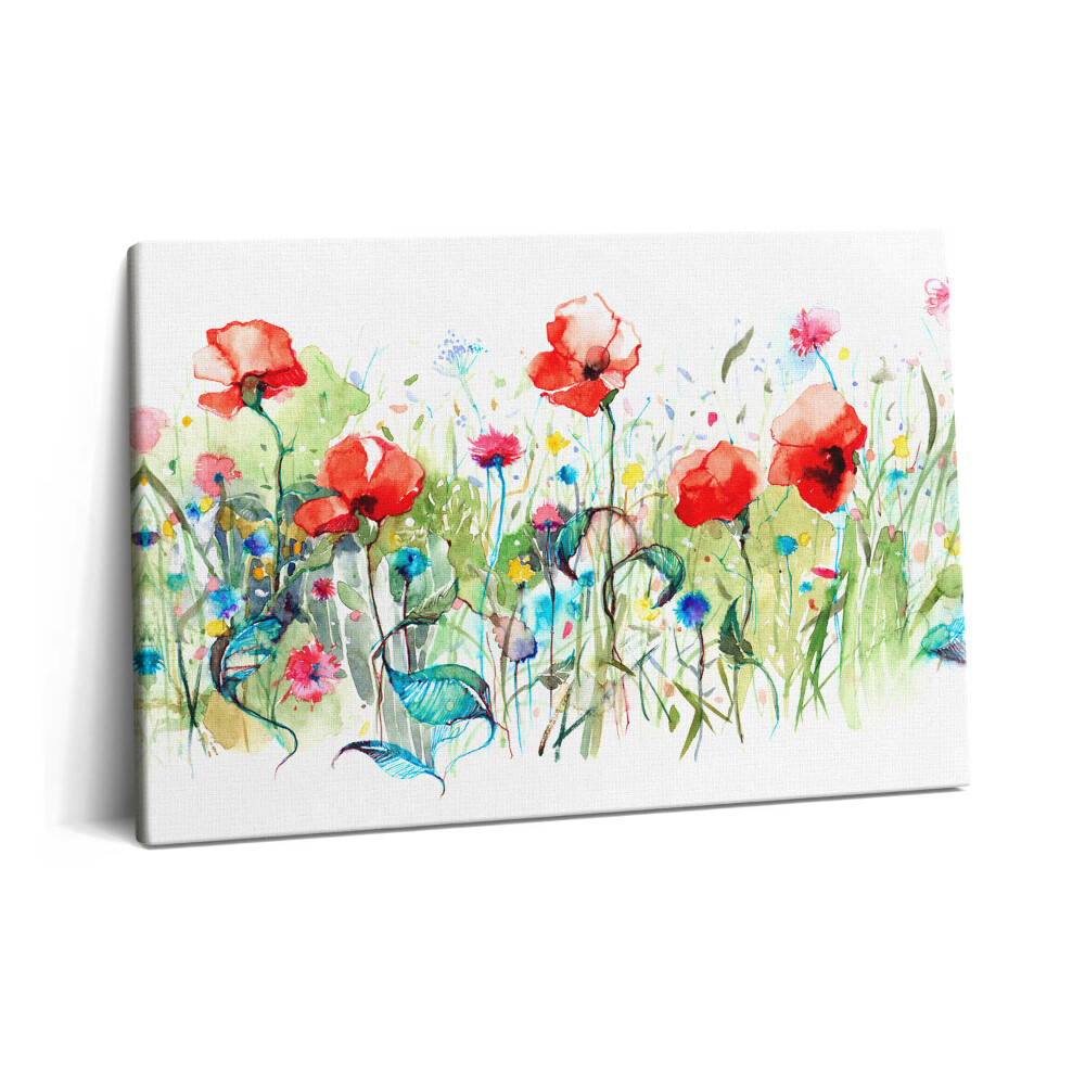 Tablou pe pânză 60x40 Maci în pajiște