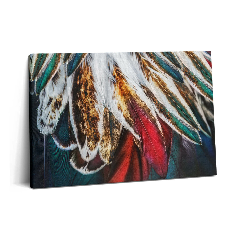 Tablou pe pânză 60x40 Pene de pasăre maro deschis